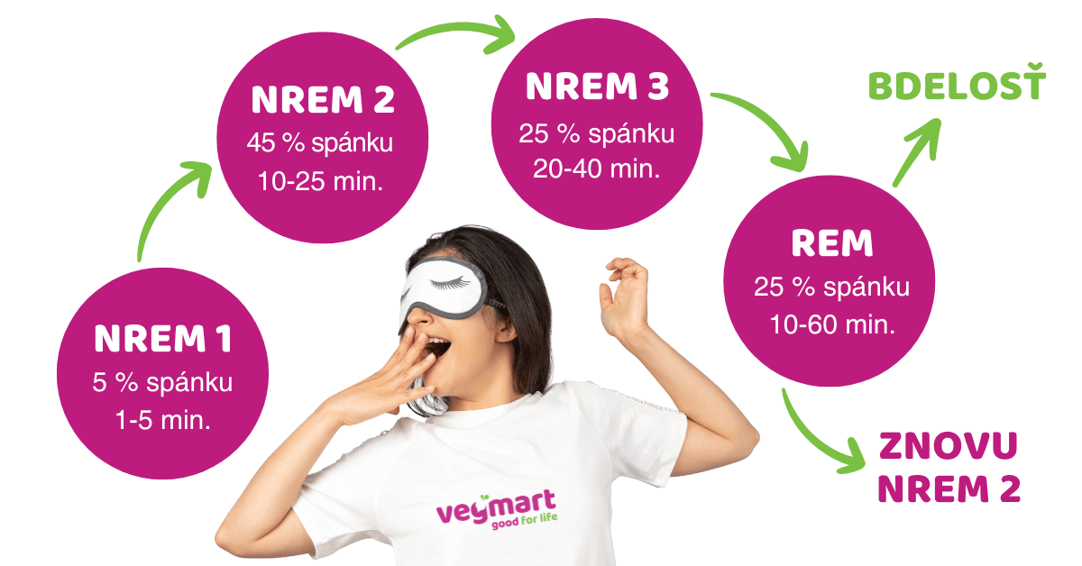 Infografika priebehu spánkových cyklov a fáz spánku