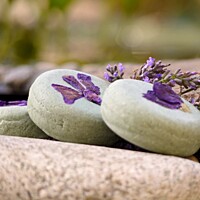 Ponio Dvojitá levandule - kopřivový šampúch 60g