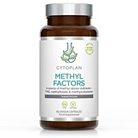 METHYL FAKTORY - B1 + Betaín + B2 + B6 + L-Metylfolát vápenatý + Vitamín B12 a Zinok, 60 kapsúl