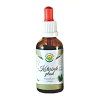 Salvia Paradise Kotvičník zemný plod tinktúra bez alkoholu, 50 ml