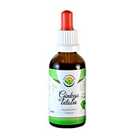 Salvia Paradise – Ginkgo dvojlaločné, tinktúra bez alkoholu, 50 ml 