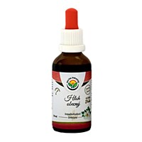 Salvia Paradise – Hloh obyčajný, tinktúra bez alkoholu 50 ml
