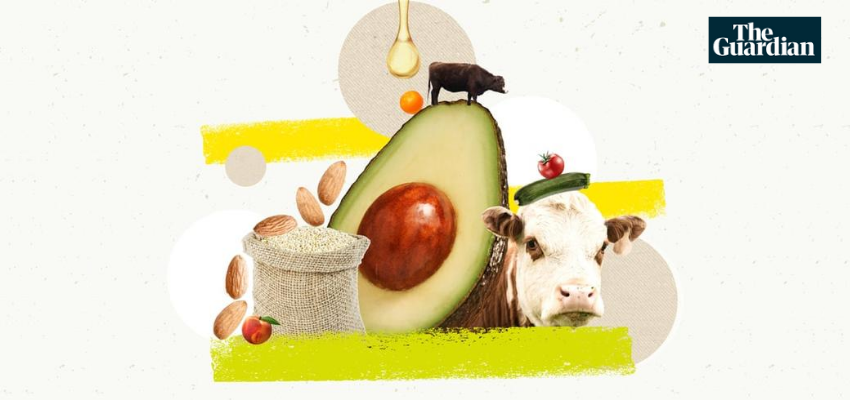 Proč byste měli přejít na dietu bez zvířat: 18 argumentů pro jezení masa vyvráceno