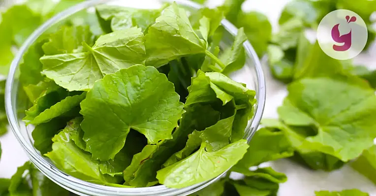 Aké účinky má gotu kola (aj tie nežiaduce) a kedy sa vám najviac hodí?