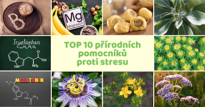 10 přírodních pomocníků proti stresu a únavě