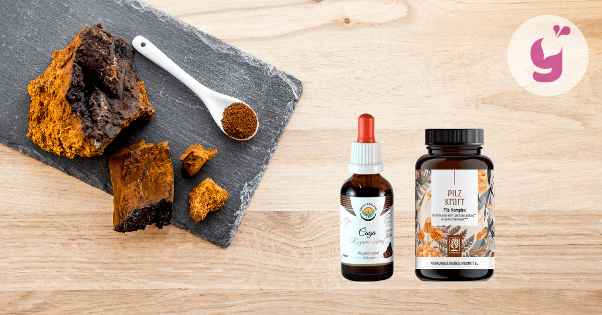 Takto si vyberiete najlepšiu čagu + recenzie na vybrané produkty