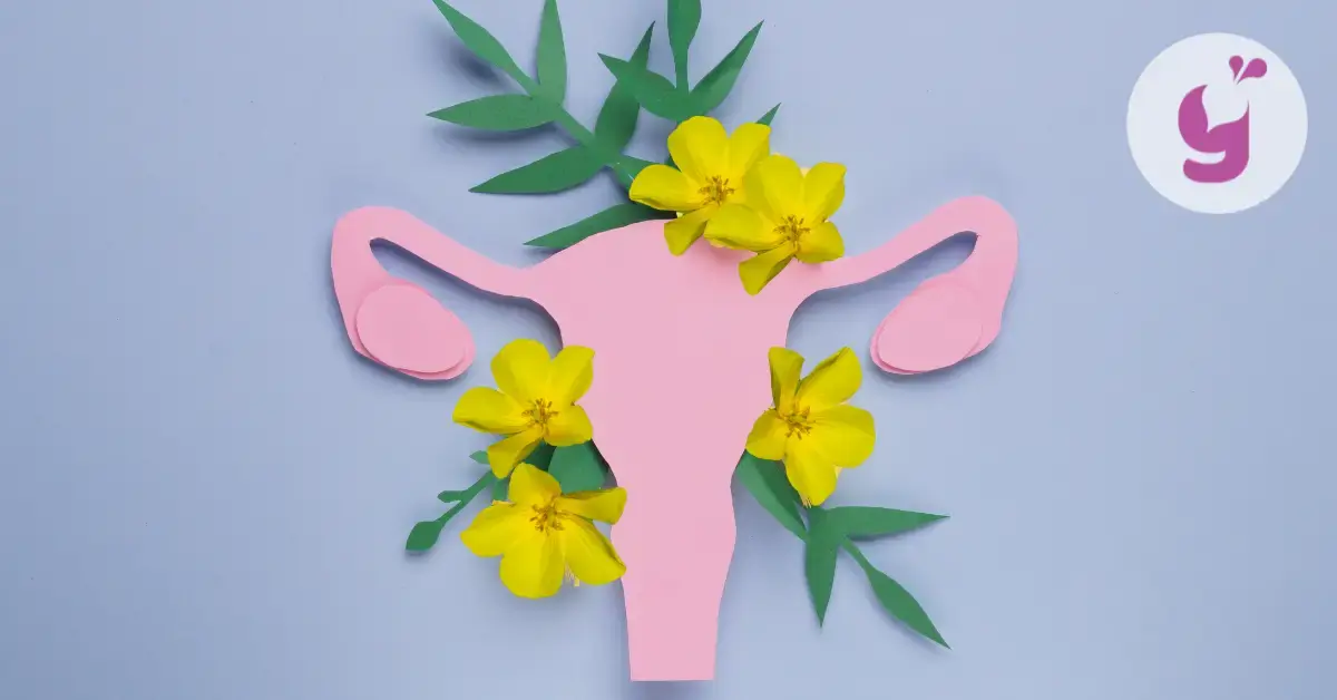 4 účinky kotvičníka na ženy, ktoré vás prekvapia