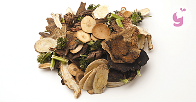 9 najlepších druhov medicinálnych/liečivých húb a ich účinky na zdravie 