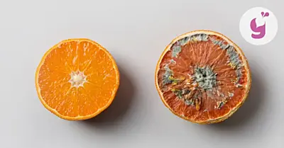 Čo je oxidačný stres? Ako ho rozpoznať a riešiť