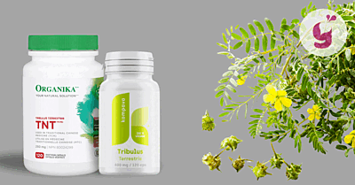 Kotvičník zemný skúsenosti a recenzie – ktorý je najlepší?