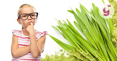 Je zelený jačmeň vhodný pre deti? + Benefity, dávkovanie a tipy